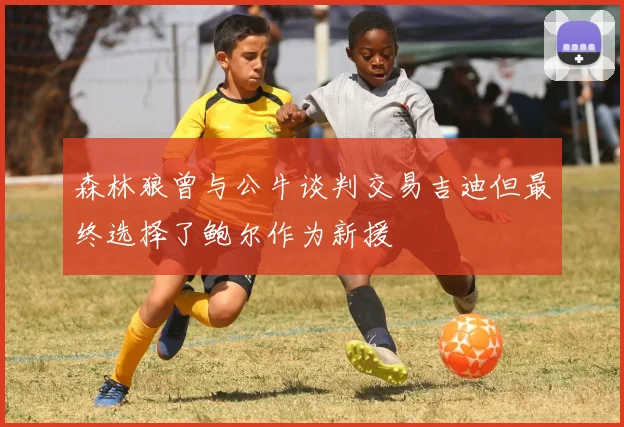 森林狼曾与公牛谈判交易吉迪但最终选择了鲍尔作为新援