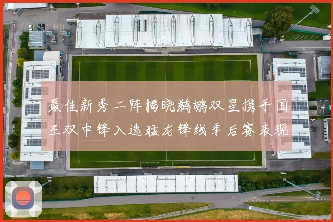 最佳新秀二阵揭晓鹈鹕双星携手国王双中锋入选猛龙锋线季后赛表现抢眼